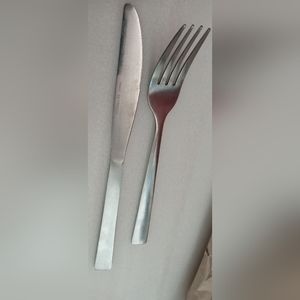 Stainless Steel Set of Dinner Fork & Steak Knife